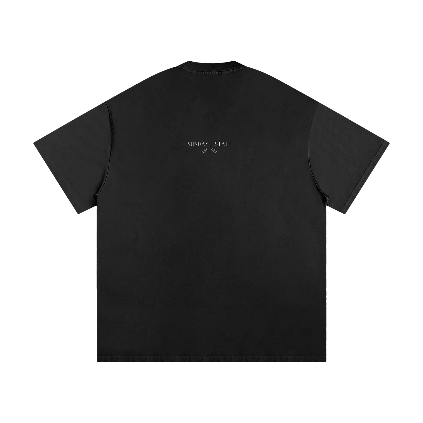 Sunday Estate "Swiss Banks & Dobermans" Oversized T-Shirt